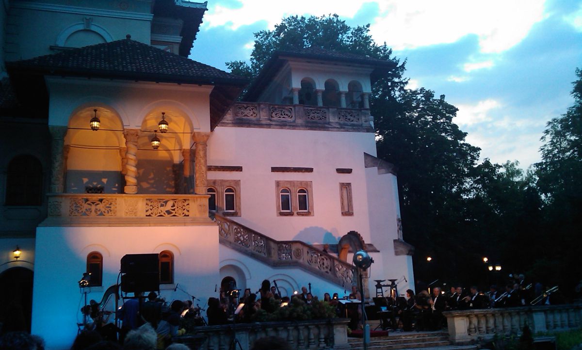 IMAG0156