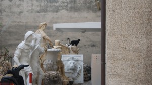 italian cat