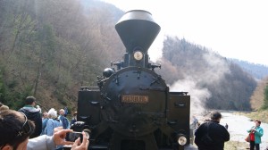 mocanita