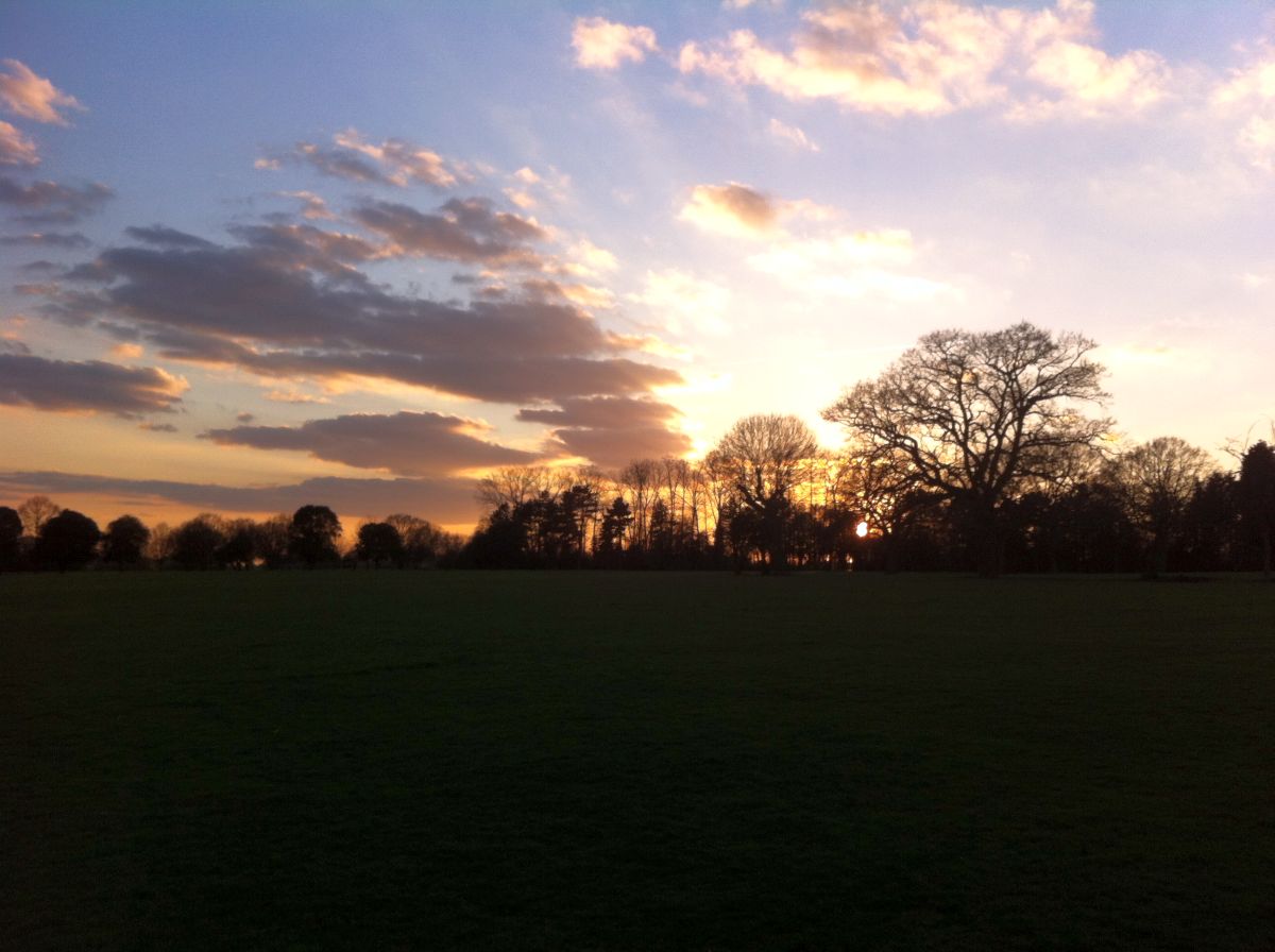 harrow lodge park in elm park