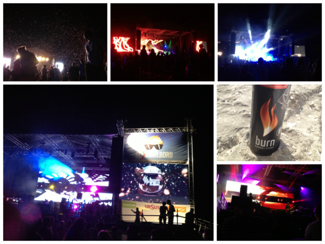TMDW 2013