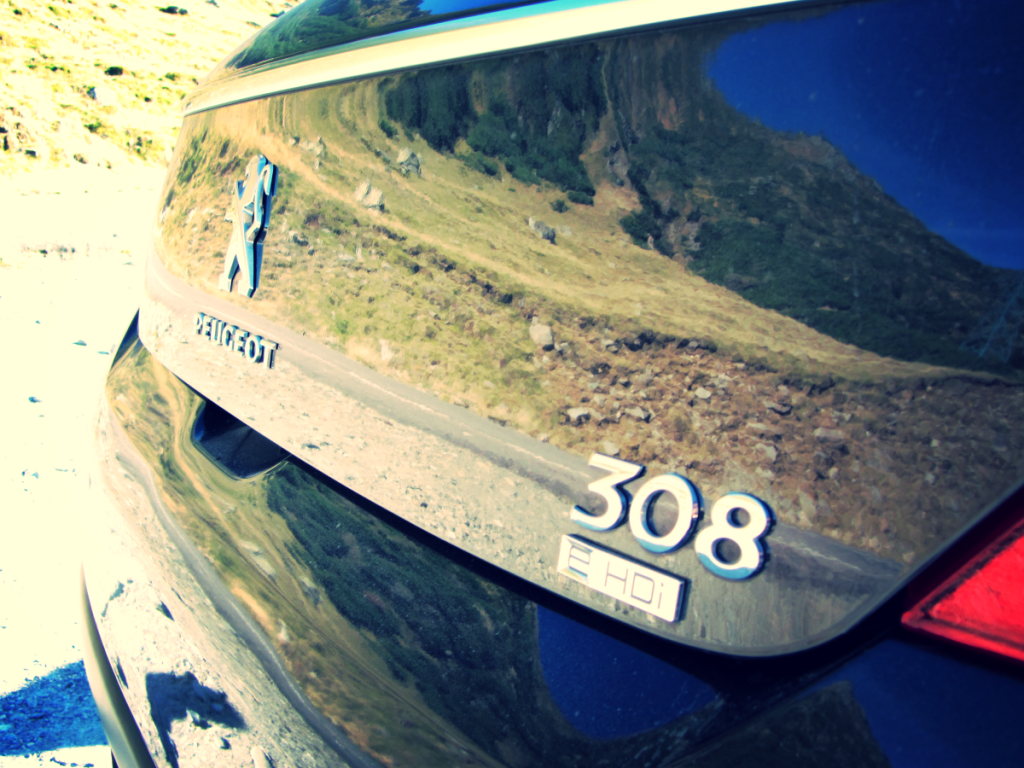 Aviary Photo_130263362477229033