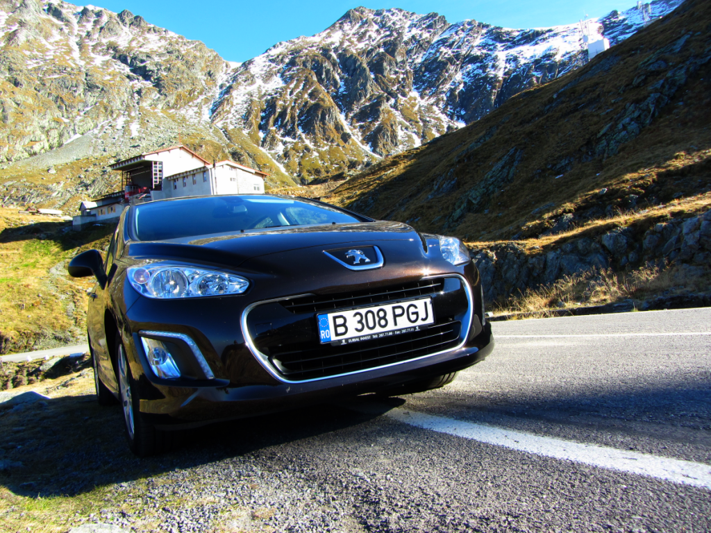 Aviary Photo_130263363388231928