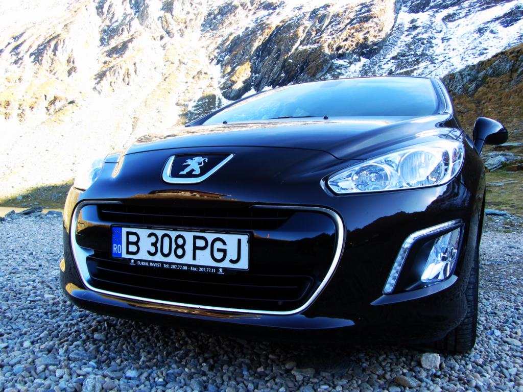 Aviary Photo_130263365143931867