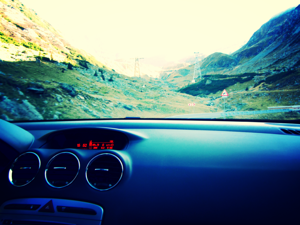 Aviary Photo_130263369135168439