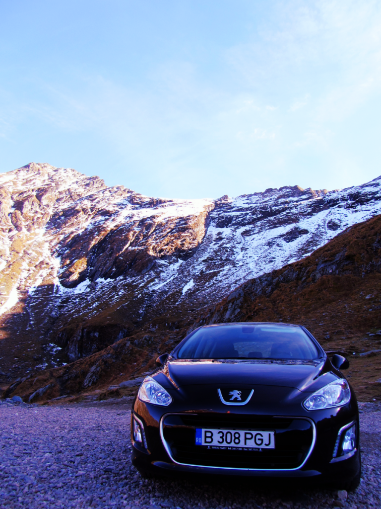 Aviary Photo_130263369917073582