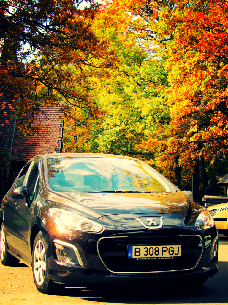 Aviary Photo_130263370786063040