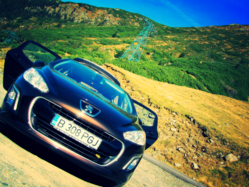 Aviary Photo_130263374337353753