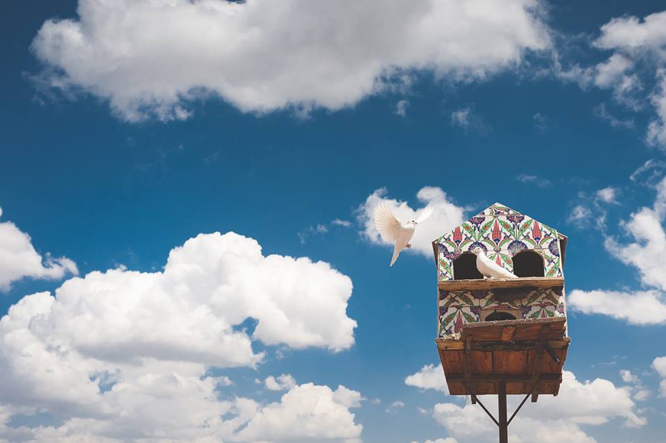 11188376_1586239734982710_2304655199272837586_n